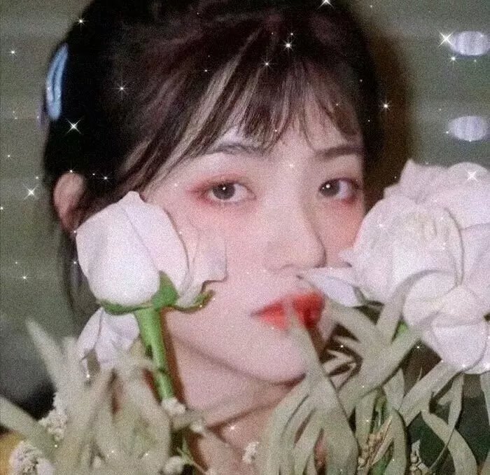 古惑仔情义篇之洪兴十三妹